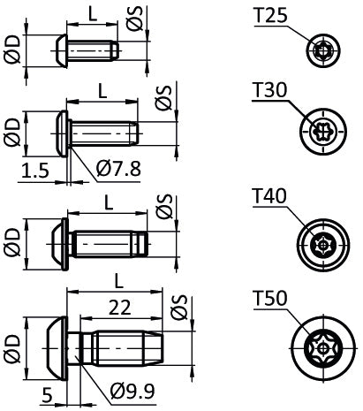 Zentralschraube S12x30
