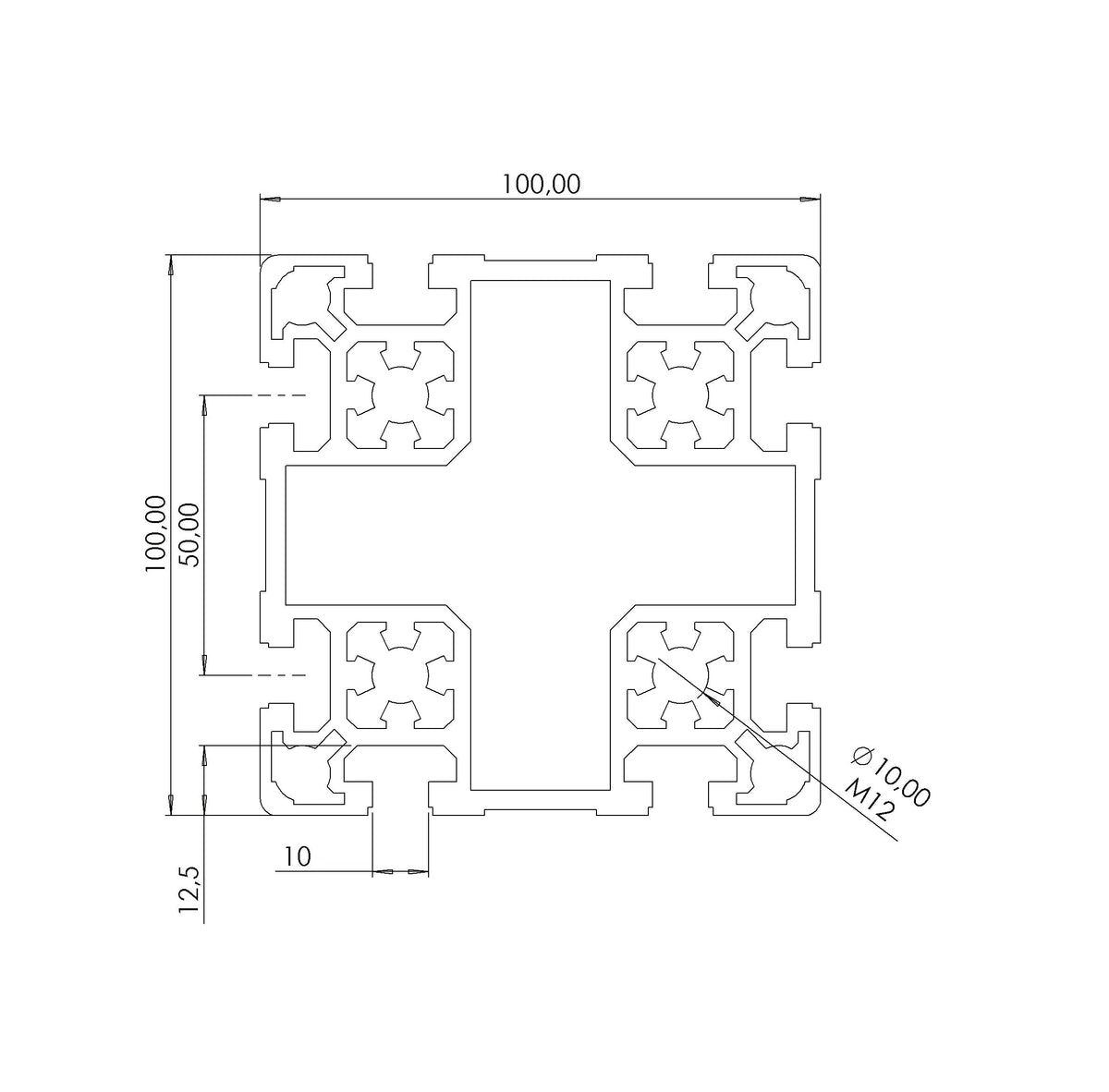 Profil 100 x 100 L  Nut 10