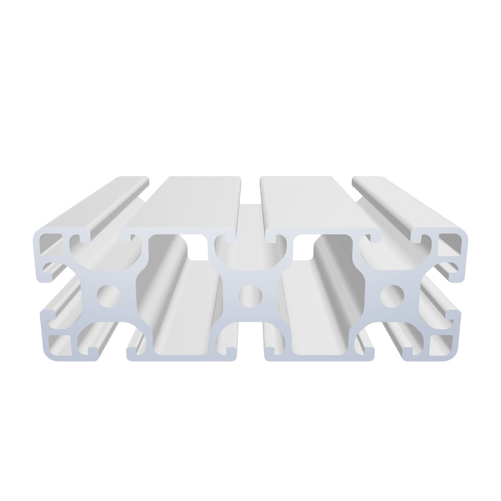 Profil 40 x 120 L Nut 8