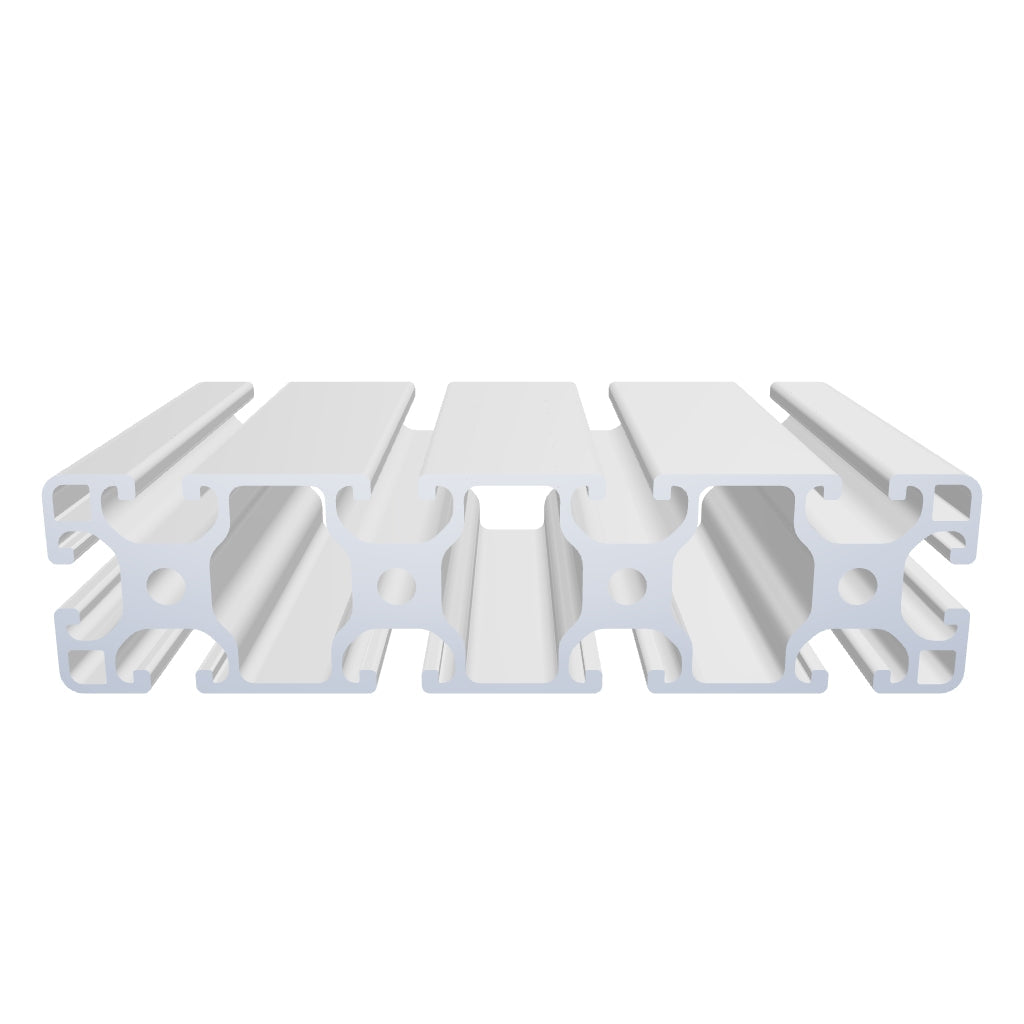 Profil 40 x 160 L Nut 8